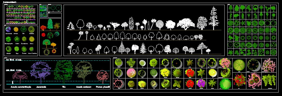 Palmeira Ravenala - Vegetação Sketchup, Árvore 3d